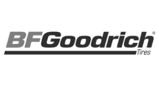 bf-goodrich-300x164 1